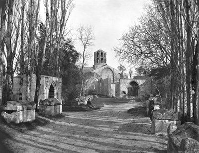 Walk of Les Alyscamps by French Photographer